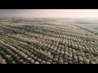 video 5 человеческие мирыhuman worlds зелёная планетаthe green planet 2022 sex