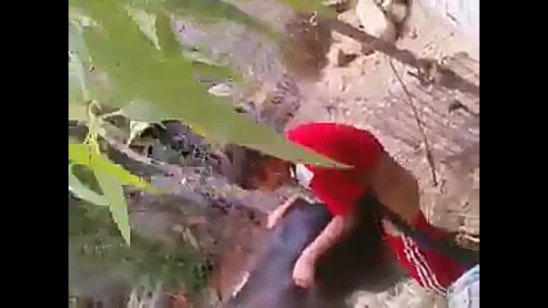 video маленького зоофила поймали sex