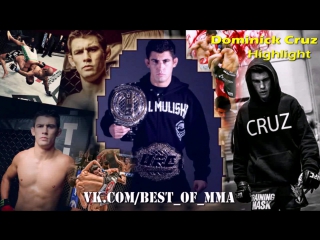 video dominick cruz highlight 2015 sex
