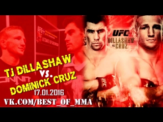 video tj dillashaw vs dominick cruz sex
