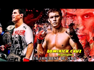 video dominick cruz highlights sex