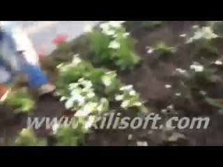 video вайнахская местьчеченцы и ингуши наказывают шакала драка жесткая ставят на место молодые sex
