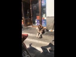 video 高颜值白富美女神主播声音甜美奶子硕大阴毛稀疏私处粉嫩诱人包一晚不知道多少钱对白清晰 dv feat forch mp3 tik tok sex