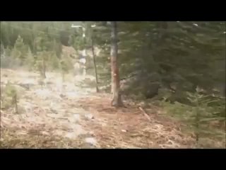 video дом 2хуйприколпиздаджигурдапорношлюхисексэротикасерега медведевпутинматрицашбmypickupgirlдота100500сосёт sex