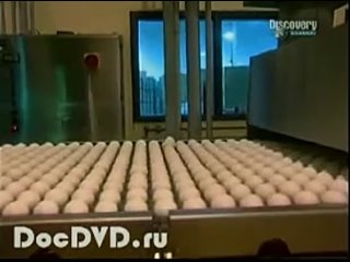 video как заниматься сексом при беременности sex