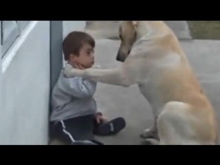 video sweet mama dog interacting with a beautiful porn with down syndrome from jim stenson sex