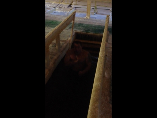 video 爱足美脚社美脚踩踏社区字母圈艾斯爱慕免费视频大全女 img 0030 sex