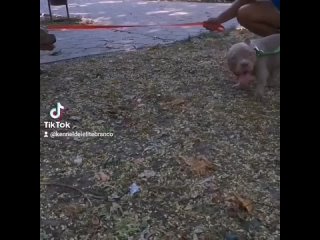 video 爱足美脚社美脚踩踏社区字母圈艾斯爱慕免费视频大全女王踩踏免费视专区提供国 vid 27220625 070915 750 mp4 sex