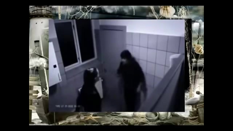 video скрытая камера секс в туалете нельзя даме отказывать sex