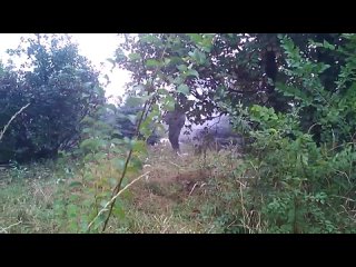 video 2014 09 29 ополченцы возле аэропорта донецка sex