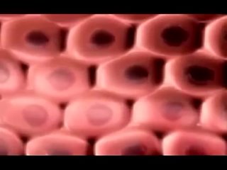 video экстендер увеличение полового члена без операции sex