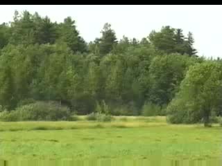 video dolphin tender age 2 scene 1 русские парни sex