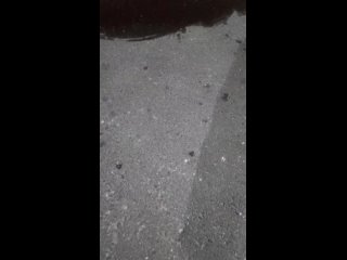 video джентельменыпредпочитаютблондинок vid 20210724 001213 mp4 sex