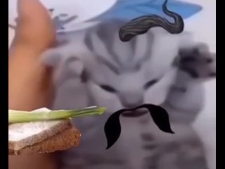 video 刚生完孩子的黑丝母乳人妻ol被最讨厌的男人干到想死一样的高潮 vid 20211217 001557 993 mp4 sex