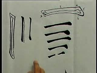 video 书法名家教书法 楷书入门 1 beginning chinese calligraphy regular script part 1 sex