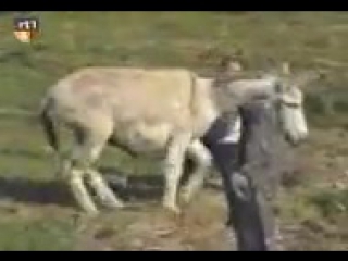 video моллоденькая видео от aian aian sex