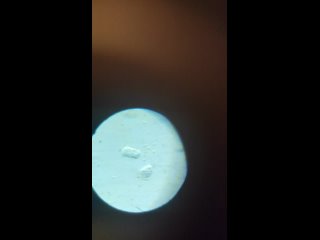 video 白浊的精液从可爱的小鸡鸡里一股与股的流出看起来真的好让人兴奋哎 filestorageemulated0dcimcameravid 20230402 003441 mp4 sex