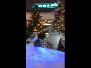 video фотозоны с ёлочками на проспекте независимости трц dana mall дана молл 2 01 2022г г минск беларусь sex