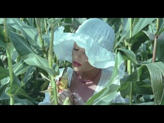 video племянницы госпожи полковницы 1980 die nichten der frau oberst швейцария режиссёр эрвин с дитрих sex