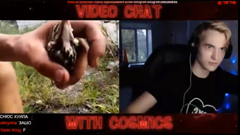 video 1 аморальный в чат рулетке 4854 f птичка sex