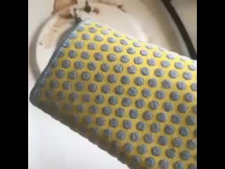 video 爱足美脚社美脚踩踏社区字母圈艾斯爱慕免费视频大全女王踩踏免费视专区提供国内sm虐恋 vid 20200418 034350 084 mp4 sex