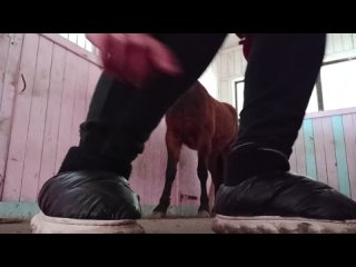 video riding filestorageemulated0dcimcameravid 20230322 140813 mp4 sex