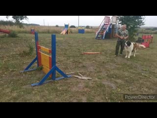video видео от александра ильяшенко sex