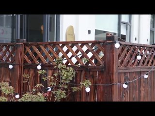 video wendadeco 10m 20bulbs g45 patio outdoor string lights resolved in just sex