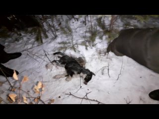 video челябинск парк гагарина предположительно массовое молодые и секс горячее sex