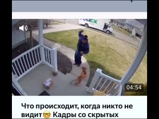 video девушказадралаплатьеипоказаласвоюбольшуюаппетитнуюжопу img 0825 mp4 sex