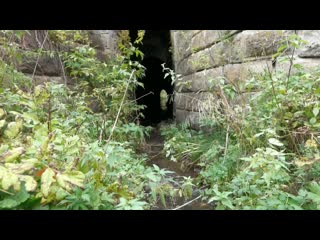 video part vid 191600203 020523 012 mp4 sex