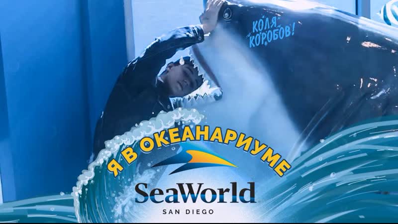 video я в океанариуме seaworld san diego sex