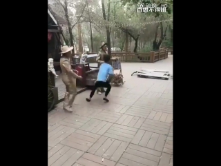 video решили попугать и повеселиться sex