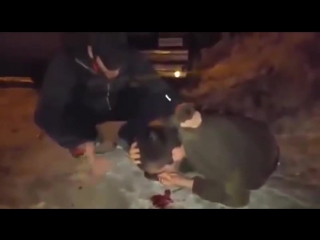 video чеченцы против азербайджанца наказали за слова sex