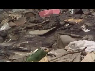 video порабощённые и управляемые owned operated sex