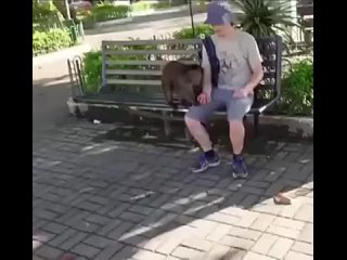 video хитрая разведенка с молодые увидела симпатичного неженатого непьющего мужчину sex