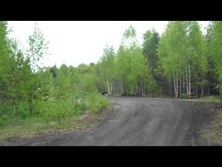 video raped sam 0199 sex