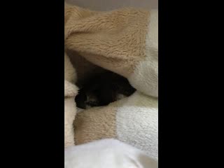 video видео от изабеллы морозовой sex