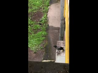video видео от изабеллы морозовой sex