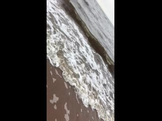 video xnxx img 0554 mov sex