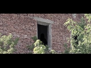 video элеватор короткометражный фильм sex