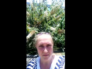 video 爱足美脚社美脚踩踏社区字母圈艾斯爱慕免费视频大全女王踩踏免费视专区提 mov 0046 mp4 sex