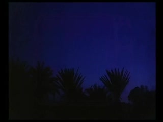 video orgasmo caliente arabian sex story sex