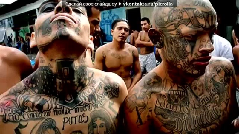 video под музыку ms 13 la mara salvatrucha picrolla sex