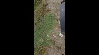 video lion bokep indo siskaeee ojol prank becak motor mp4 sex