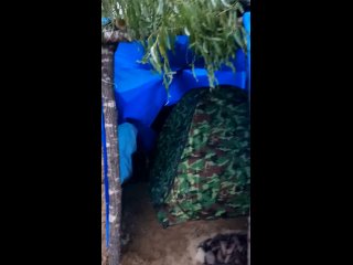 video 爱足美脚社美脚踩踏社区字母圈艾斯爱慕免费视频大全女王踩踏免费视专区提供 vid 20220829 064225 sex