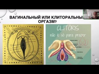 video женский оргазм часть 2 вагинальный и клиторальный оргазмы sex