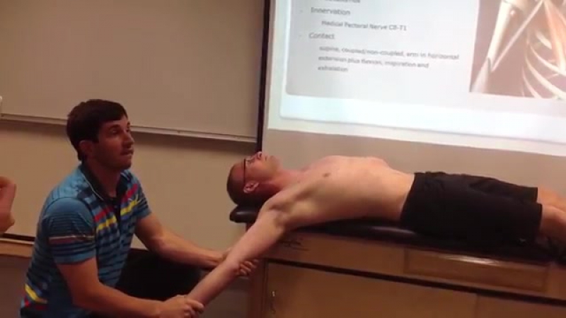 video малая грудная мышца пальпация мануальная терапия и растяжение sex