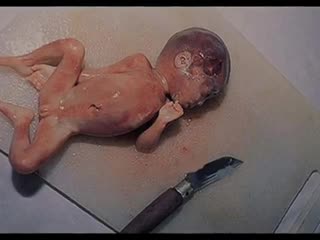 video семейный каннибализм новорожденных девочек в китайской народной республике официально разрешен и поощряется sex