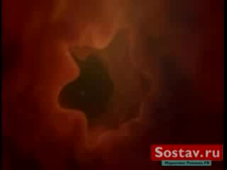 video оплодотворение яйцеклетки sex